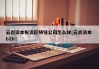 云启资本投资区块链公司怎么样[云启资本 b2b]