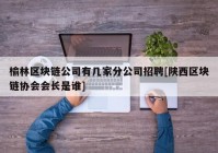 榆林区块链公司有几家分公司招聘[陕西区块链协会会长是谁]